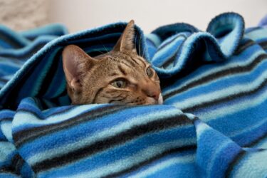 「暖かくしてお過ごしください」の正しい使い方｜ビジネスメールや手紙での好印象フレーズ集